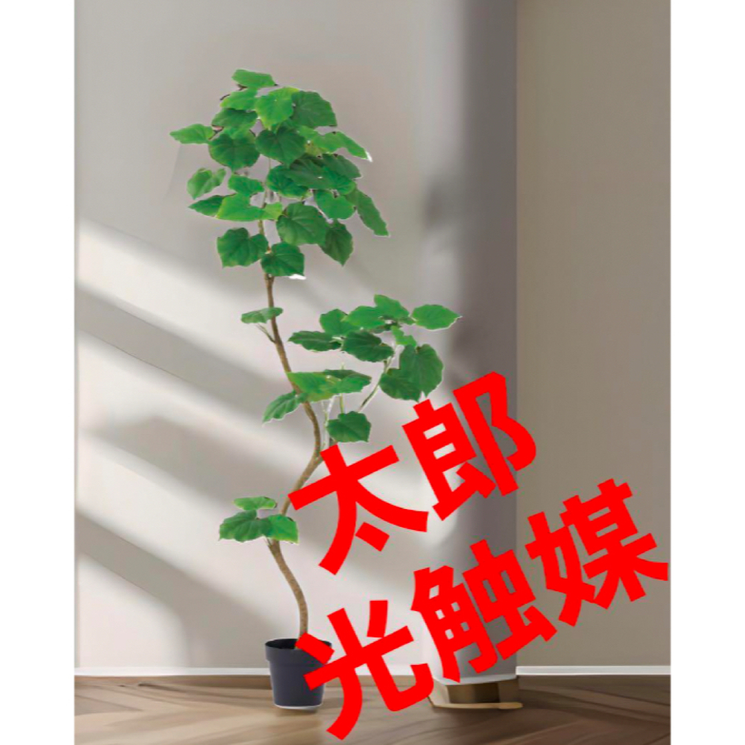 光触媒 人工観葉植物 ウォールグリーン フェイクグリーン 胡蝶蘭 光触媒 人工観葉植物 ウォールグリーン フェイクグリーン 胡蝶蘭
