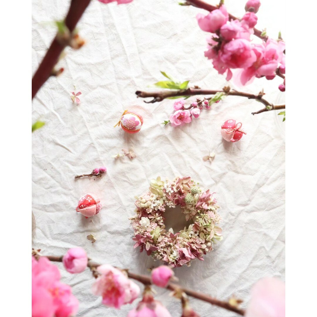 弥生月サクラ咲く❀サクライロのドライフラワーリース　桜リース　春リース ハンドメイドのフラワー/ガーデン(リース)の商品写真