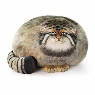 猫ぬいぐるみ 抱き枕 パラスキャット かわいい ソフト 子猫 人形 まくら (枕)