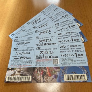 値下げ❗️後楽園東京ドームシティアトラクションチケット5枚期限2024/3/31(遊園地/テーマパーク)