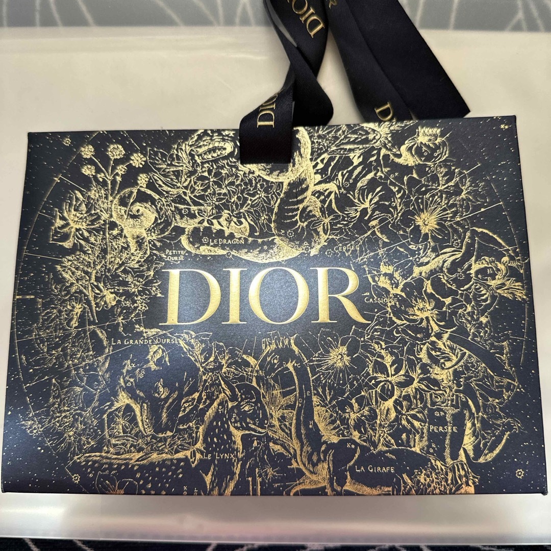 Dior(ディオール)のディオール袋 レディースのバッグ(ショップ袋)の商品写真