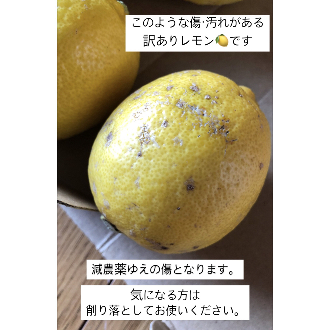 和歌山産　減農薬レモン ノーワックス　1.3kg(12個前後) 訳あり品 食品/飲料/酒の食品(フルーツ)の商品写真