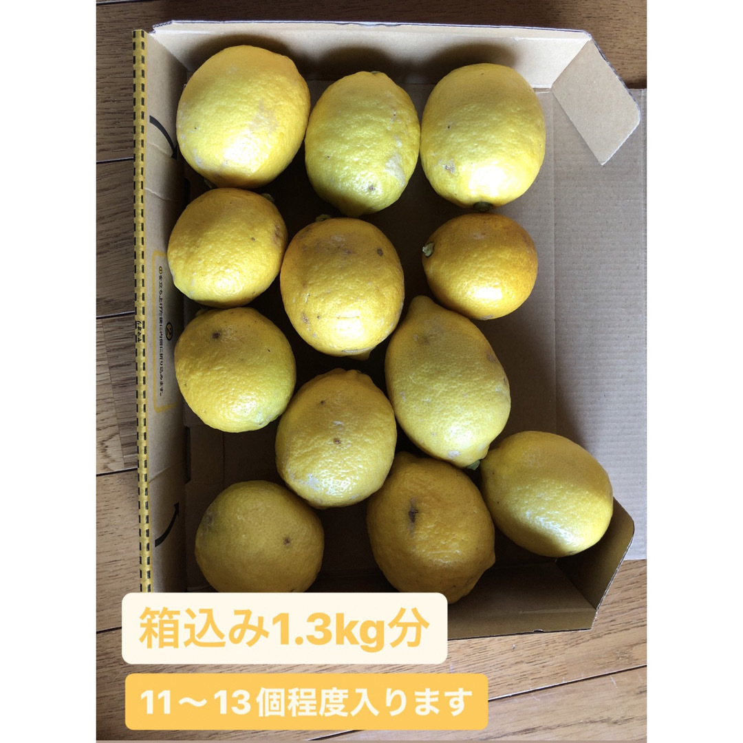 和歌山産　減農薬レモン ノーワックス　1.3kg(12個前後) 訳あり品 食品/飲料/酒の食品(フルーツ)の商品写真