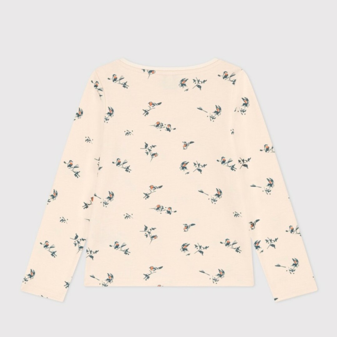 PETIT BATEAU(プチバトー)の【新品タグ付】プチバトー　プリント長袖Ｔシャツ　95cm キッズ/ベビー/マタニティのキッズ服女の子用(90cm~)(Tシャツ/カットソー)の商品写真