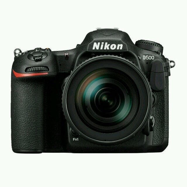 Nikon - asuka 予備バッテリー付美品ニコンD500ボディ 送料無料