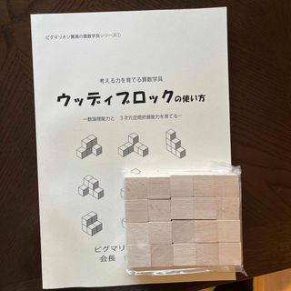 ウッディブロックの使い方　セット　ピグマリオン　はまキッズ