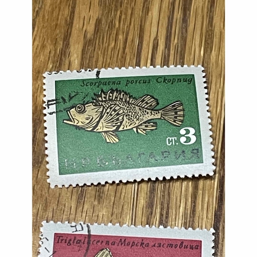 レア切手　サカナ6枚組コンプリート　1965年6月発行　ブルガリア切手　黒海の魚 エンタメ/ホビーのコレクション(使用済み切手/官製はがき)の商品写真