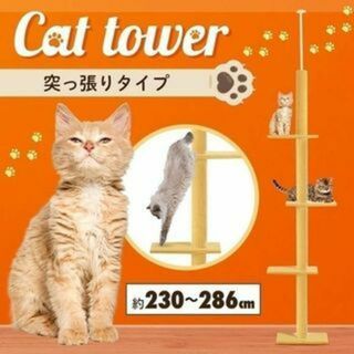 新品★突っ張り式 キャットタワー スリム 230cm〜286cm/atten(猫)