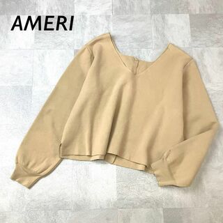 AMERI バック ボタン ニットソー Vネック ライト ブラウン(Tシャツ(長袖/七分))