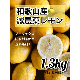 和歌山産　減農薬レモン ノーワックス　1.3kg(12個前後) 訳あり品(フルーツ)