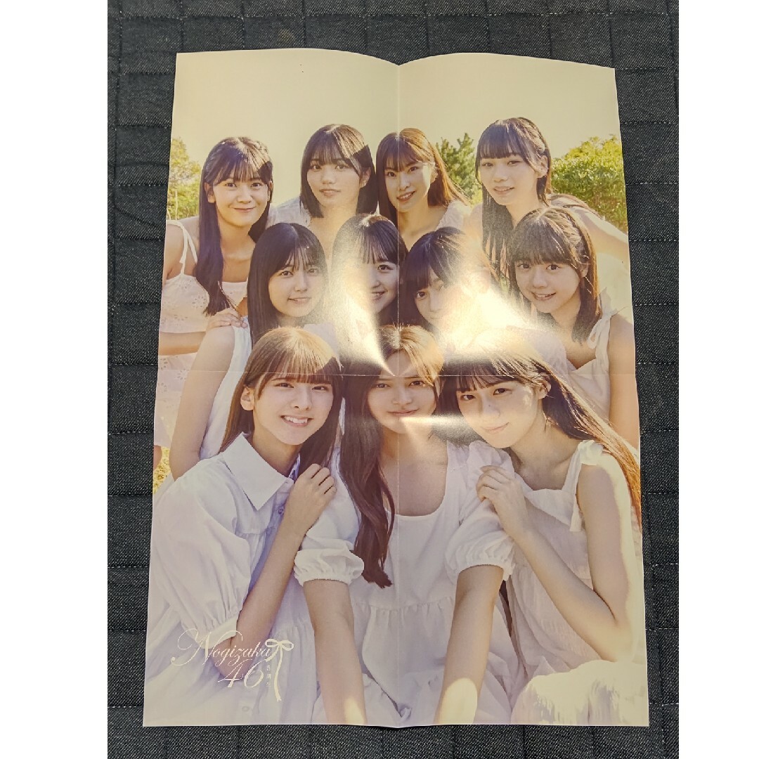乃木坂46 5期生写真集「あの頃、乃木坂にいた」ポスター 華々 乃木坂46 5期生写真集「あの頃、乃木坂にいた」ポスター 華々