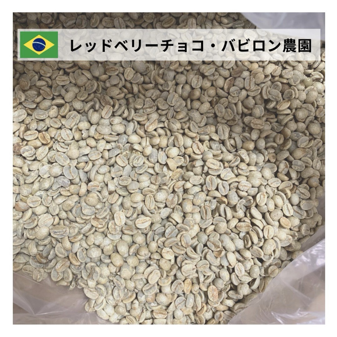 　【24時間以内に発送】レッドベリーチョコ【生豆珈琲】【1Kg】【送料無料】 食品/飲料/酒の飲料(コーヒー)の商品写真