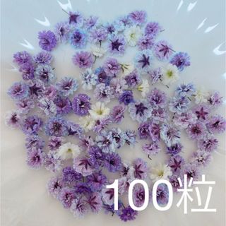 パープル系 かすみ草ドライフラワー100粒(ドライフラワー)