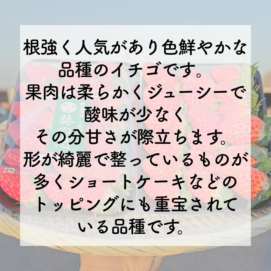 翌日発送 でかひめ ５Lサイズ 約９粒入 超特大 あきひめ いちご 家庭用  食品/飲料/酒の食品(フルーツ)の商品写真