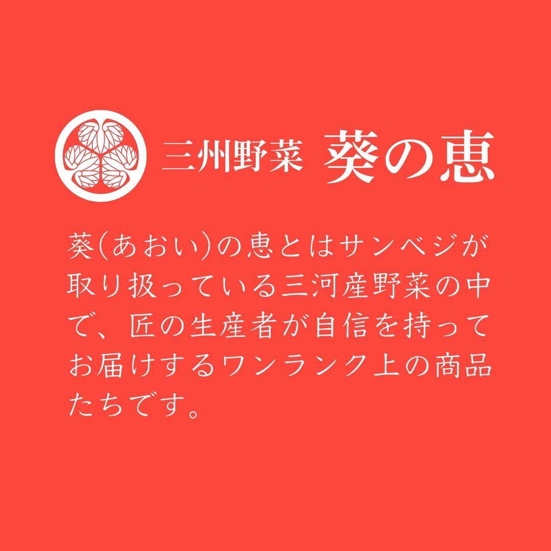 翌日発送 でかひめ ５Lサイズ 約９粒入 超特大 あきひめ いちご 家庭用  食品/飲料/酒の食品(フルーツ)の商品写真