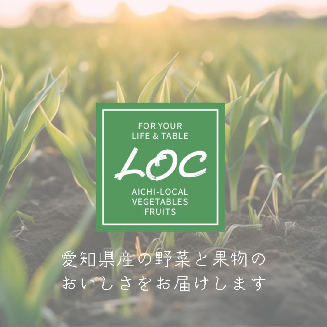 翌日発送 でかひめ ５Lサイズ 約９粒入 超特大 あきひめ いちご 家庭用  食品/飲料/酒の食品(フルーツ)の商品写真