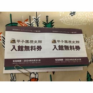 甲子園歴史館 入場無料券 2枚　阪神タイガース 阪急阪神　株主優待券(その他)