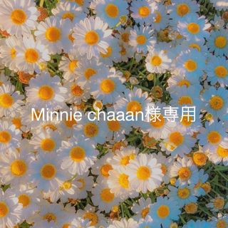 Minnie chan様専用(生地/糸)