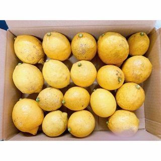無農薬2 国産　レモン(フルーツ)