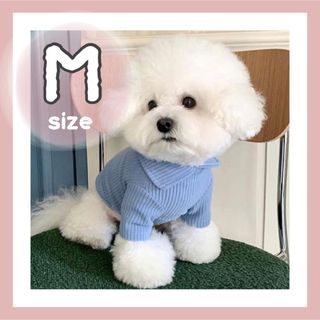 犬服　犬の服　ドッグウェア　トップス　Tシャツ　ブルー　可愛い　青　小型犬　M(犬)