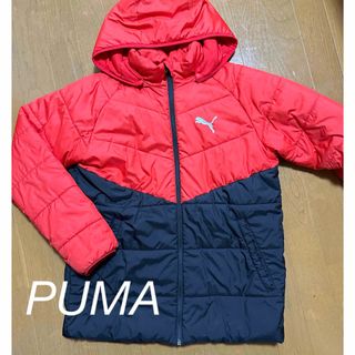 PUMA - PUMA◆ジュニア 中綿ジャケット CB パデッド ジャケット アウター