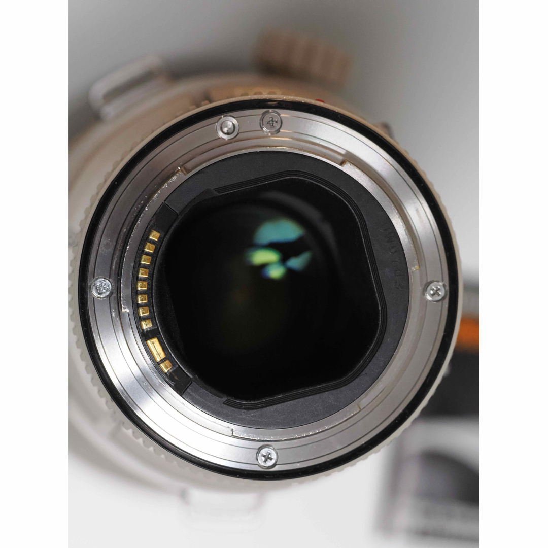 Canon(キヤノン)のキヤノン CANON EF800mm F5.6L IS USM スマホ/家電/カメラのカメラ(レンズ(単焦点))の商品写真