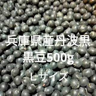 兵庫県産丹波黒黒豆500gＬサイズ(野菜)