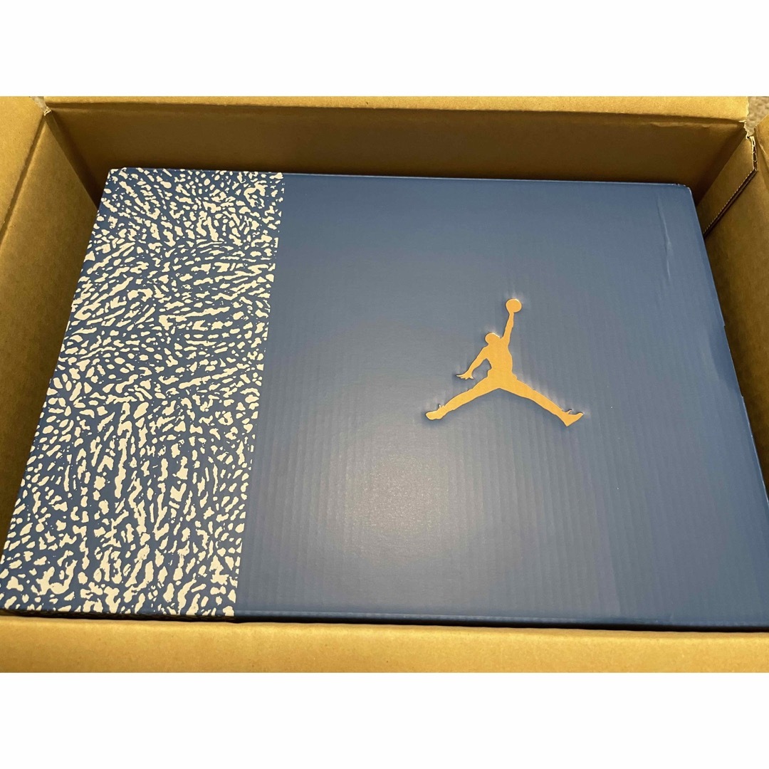 Jordan Brand（NIKE）(ジョーダン)のNike Air Jordan 3 Retro True Blue 27.5cm メンズの靴/シューズ(スニーカー)の商品写真