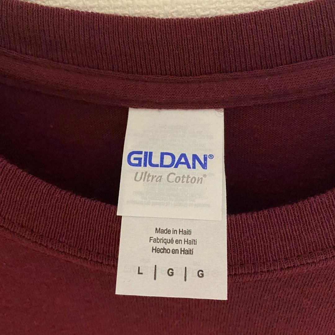 GILDAN(ギルタン)のアメリカ古着　ビズマーク高校　アメフト　半袖 Tシャツ　カレッジ メンズのトップス(Tシャツ/カットソー(半袖/袖なし))の商品写真