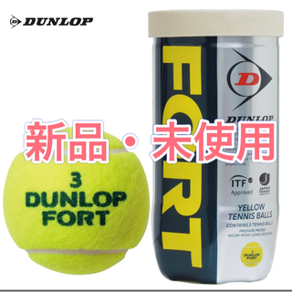 ダンロップ(DUNLOP)のFORT(フォート) 硬式テニスボール ダンロップ　30缶60球(ボール)