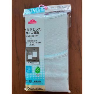 子供 下着(女の子)（グリーン・カーキ/緑色系）の通販 200点以上