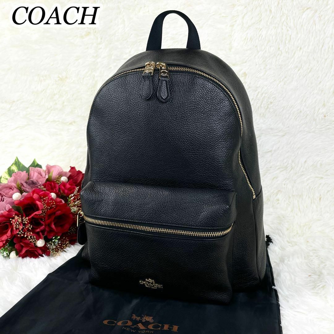 COACH - 極美品☆COACH リュック バックパック シボ革 レザー