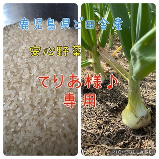鹿児島県ど田舎産 R5年産新米『ヒノヒカリ』1.5kg(米/穀物)