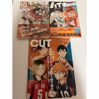 ハイキュー!! 10thクロニクル　magazine 2024  CUT(少年漫画)