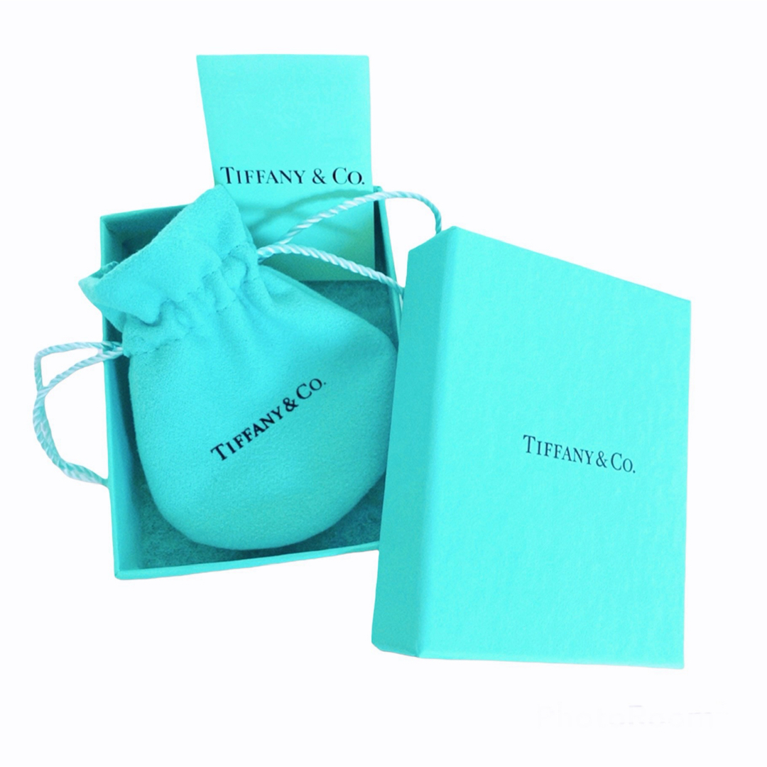 Tiffany & Co. - 美品✨ティファニーネックレス バイザヤード Tiffany & Co. - 美品✨ティファニーネックレス バイザヤード