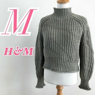 エイチアンドエム(H&M)のH&M　エイチアンドエム　長袖ニット セーター タートルネック(ニット/セーター)