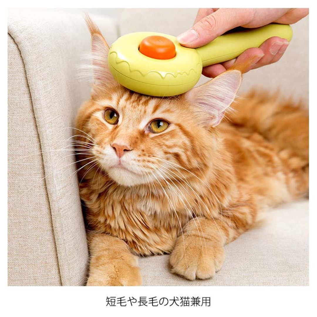 ドーナツ型 ペットブラシ グリーン その他のペット用品(猫)の商品写真