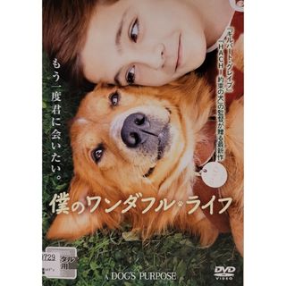 中古DVD 僕のワンダフル・ライフ(外国映画)