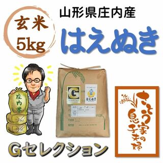 山形県庄内産　はえぬき　玄米5kg　Ｇセレクション(米/穀物)