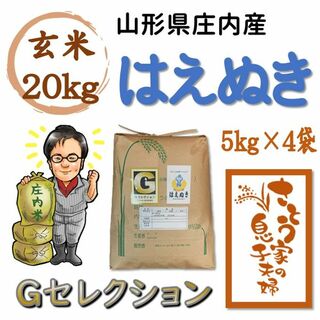 山形県庄内産　はえぬき　玄米20kg　Ｇセレクション(米/穀物)