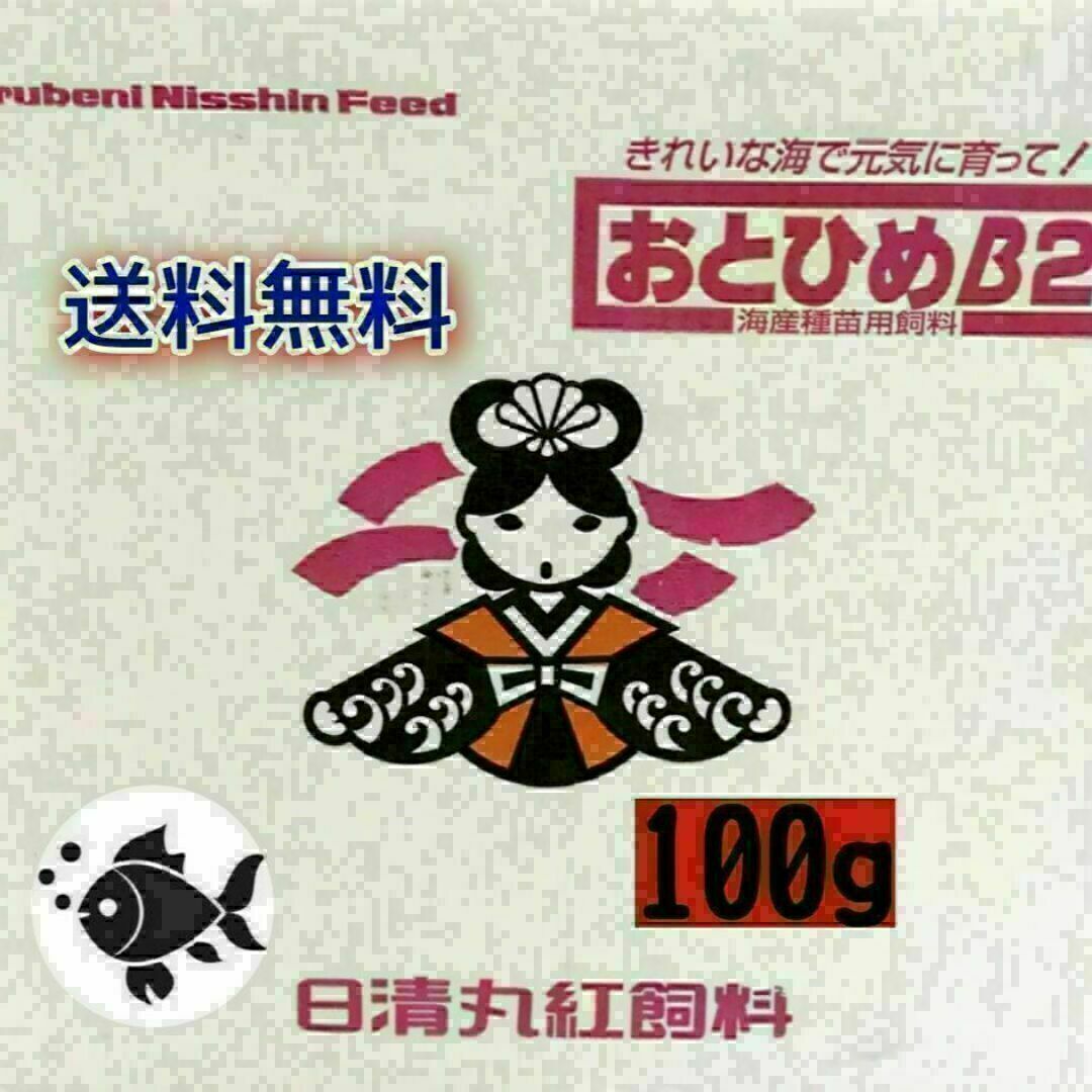 おとひめB2 100g 日清丸紅飼料 改良めだか グッピー 小型熱帯魚の通販