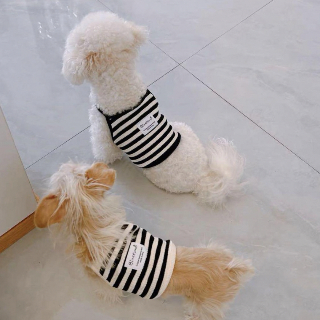 【新品】可愛い♡ボーダーロゴキャミソール　犬服　ドッグウェア　S M L その他のペット用品(犬)の商品写真