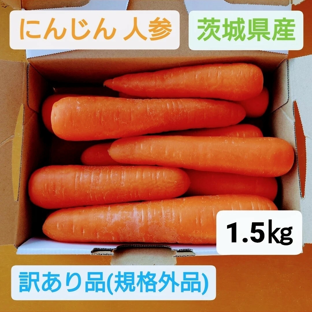 にんじん 人参 規格外品 1.5㎏ 送料込 茨城県産 農家直送 食品/飲料/酒の食品(野菜)の商品写真