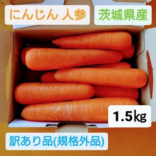 にんじん 人参 規格外品 1.5㎏ 送料込 茨城県産 農家直送(野菜)