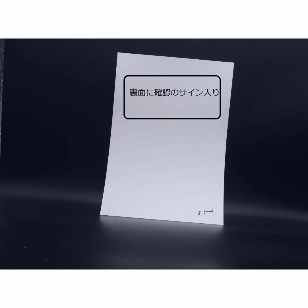 新品　フェルメール「デルフトの眺望」　A4サイズ　高級印刷画 額なし　 エンタメ/ホビーの美術品/アンティーク(絵画/タペストリー)の商品写真