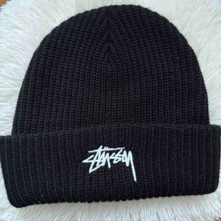 STUSSY - 【美品】STUSSY ステューシー オールドステューシー ロゴ