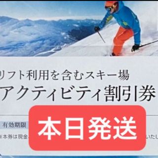 日本駐車場開発　スキーリフト割引券　1枚　株主優待(その他)