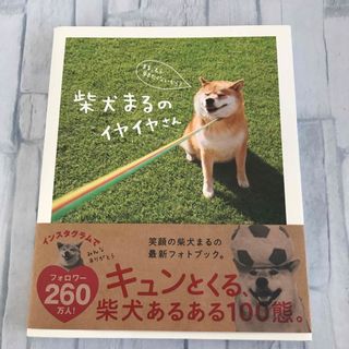 柴犬まるのイヤイヤさん(趣味/スポーツ/実用)