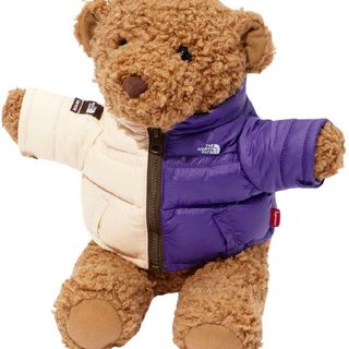 シュプリーム(Supreme)のSupreme x The North Face Bear(その他)