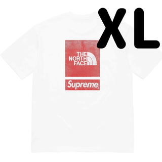 Supreme x The North Face S/S Top "White"(Tシャツ/カットソー(半袖/袖なし))